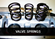 Valve Springs